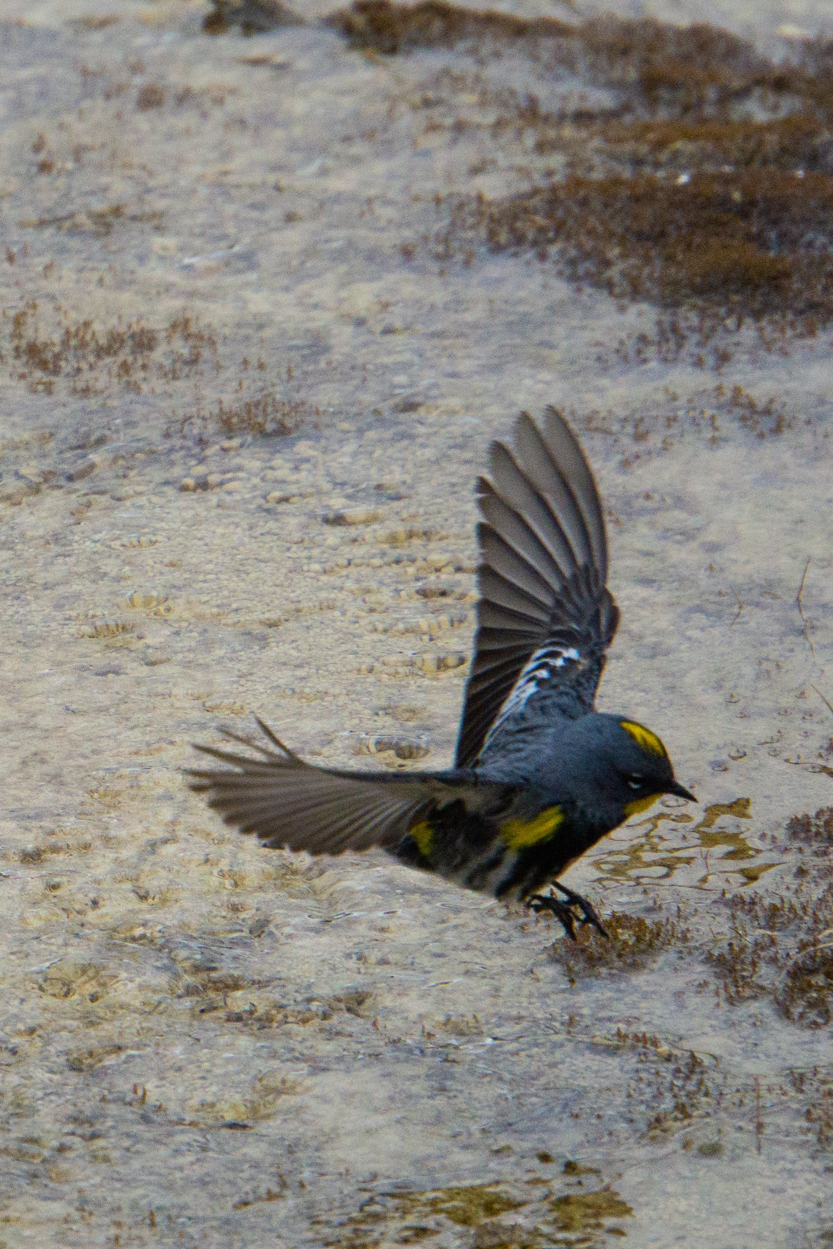 US National Parks 2022 47